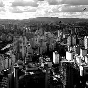 city sw web