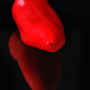 paprika