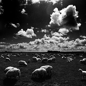 2009 06 FM2 APX100 Mommenheim Wacken Nordsee  043 ps1
