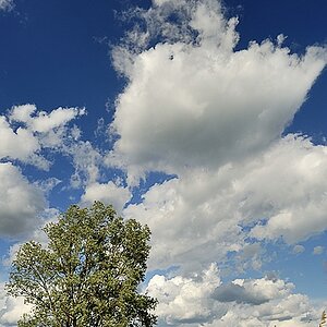 DSC4261kl