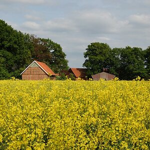 Frühling 2009