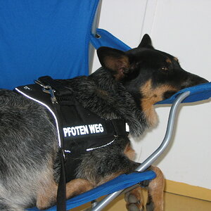 Paul bei der Arbeit