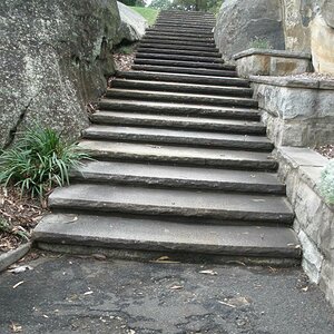 Sydney - Botanischer Garten