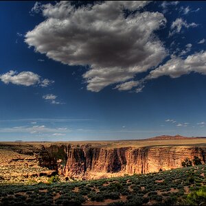 canyon forum