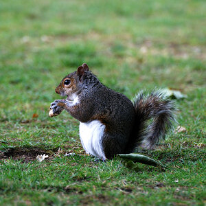 London 5 09 013DSC 0784