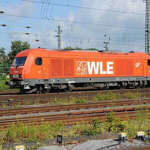 WLE 22