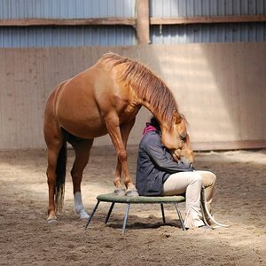 show DSC 0898