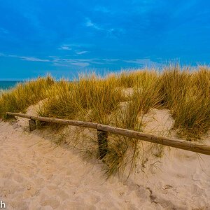ZIngst 7304