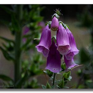 Y72 0753 WEB FORUM