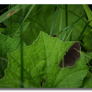 Y72 0754 WEB FORUM