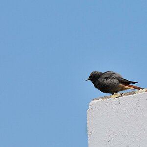 DSC 7251