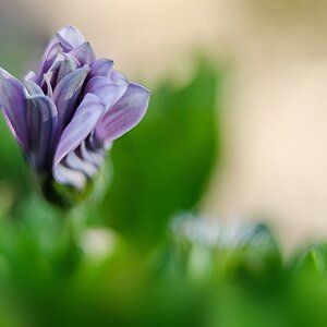 20170430 DSC 0034ac