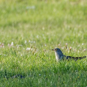 comp 20170514 DSC 5764
