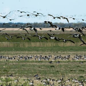 comp 20170509 DSC 5463