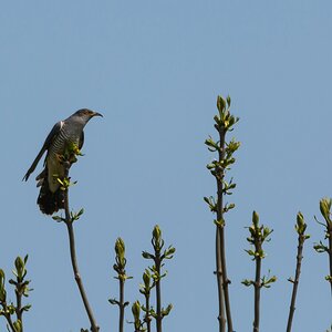 comp 20170514 DSC 5708