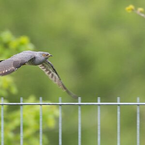 comp 20170516 DSC 5794