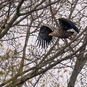 D50 0567 Abflug IA 5 2017