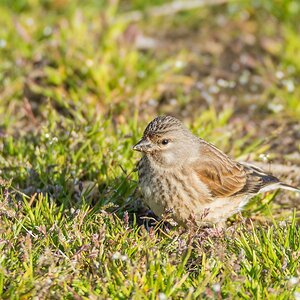 comp 20170511 DSC 5617