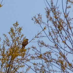 comp 20170506 DSC 5381