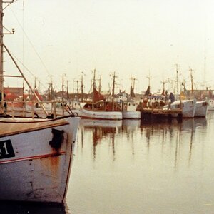 TZ IMG 0032