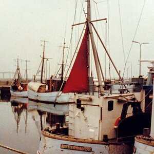 TZ IMG 0033