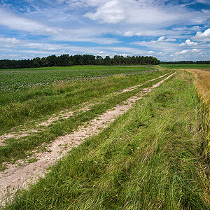 Feldweg