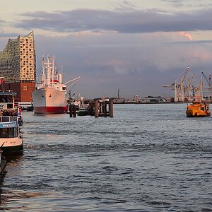DSC 4013 102016