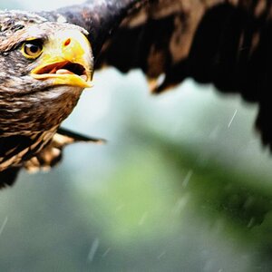 Kein Flugwetter...