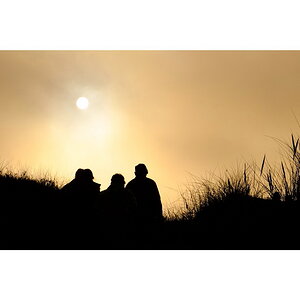 Sunshine1
