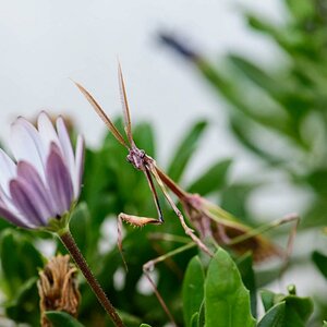 2017 05 03 08 21 50 DSC 0087