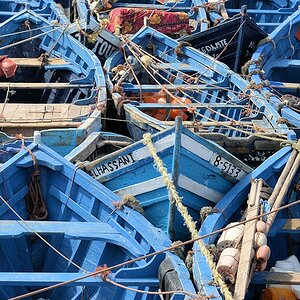 s441 Essaouira Boote 2081