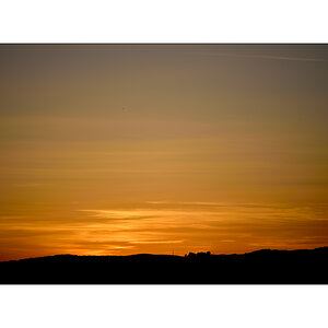 MorgenPZ1 2195