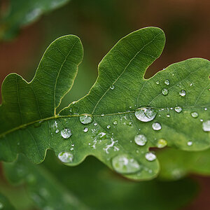 Nach dem Regen 4 1