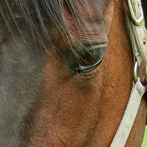 090517DSC 6926 2