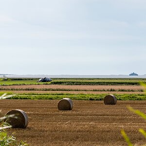 comp 20170816 DSC 0300
