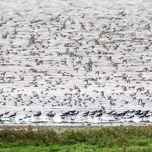 comp 20170819 DSC 6161