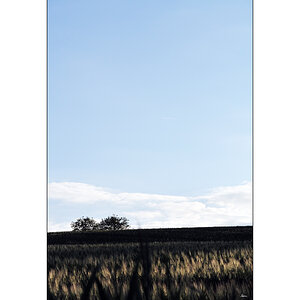 JuraDSC 3349 00004