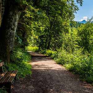 Bank am Hohenburger Schlossweiher