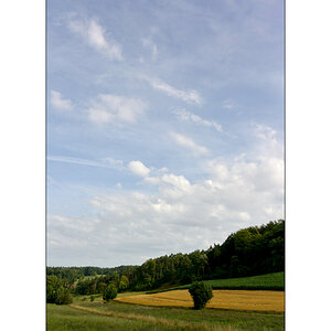 MorgenDSC 7344