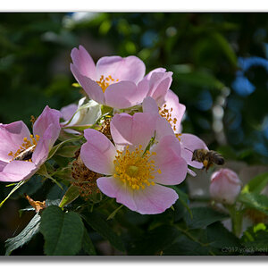 Y72 0728 WEB FORUM
