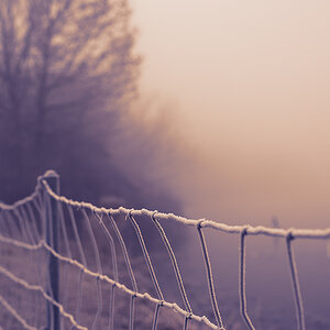 cold as ice
