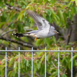 comp 20170516 DSC 5800