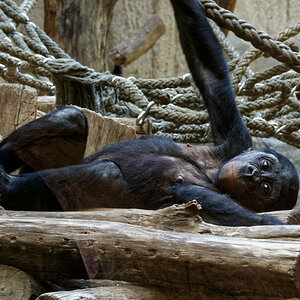NIKON 1 J5, ISO 1600, 1/60 s, f/8, 70 mm, DxO OP 11 Elite