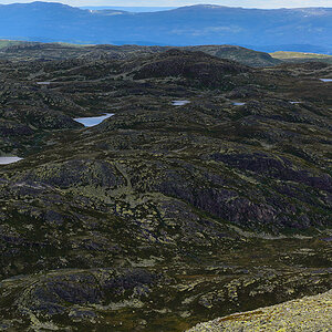 20170626 120834 norwegen nff