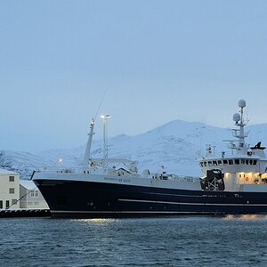 s810 Höfn Schiff 5858