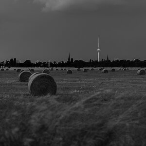 Ex Airport Tempelhof