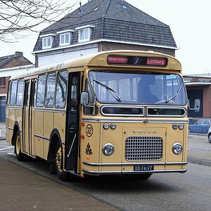 Volvo Veteraan Autobus (1)