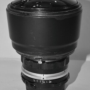 DSC 9455