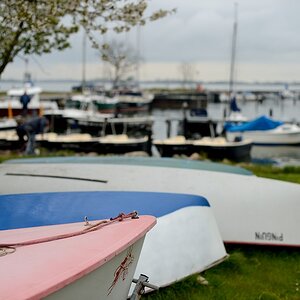 DSC 4504a