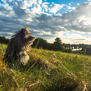 Abendsonne